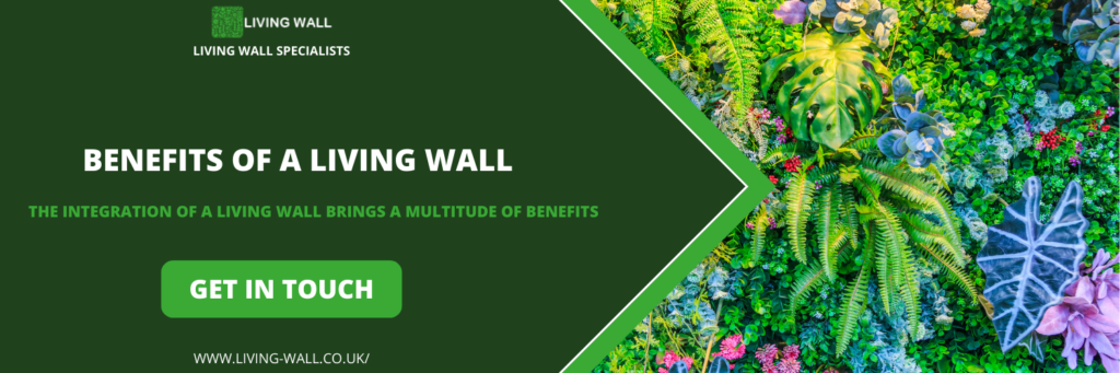 Benefits of a Living Wall