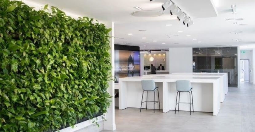 Living Walls